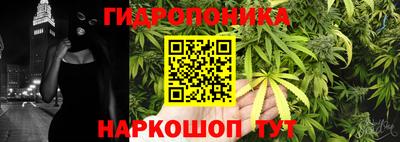 марихуана Ставрополь